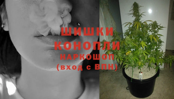 бутират Чегем
