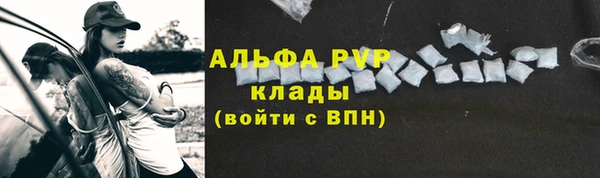 ECSTASY Корсаков
