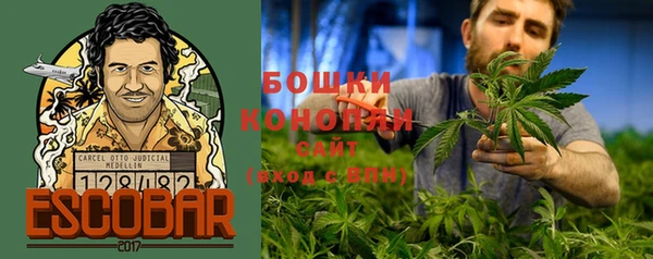 ECSTASY Корсаков