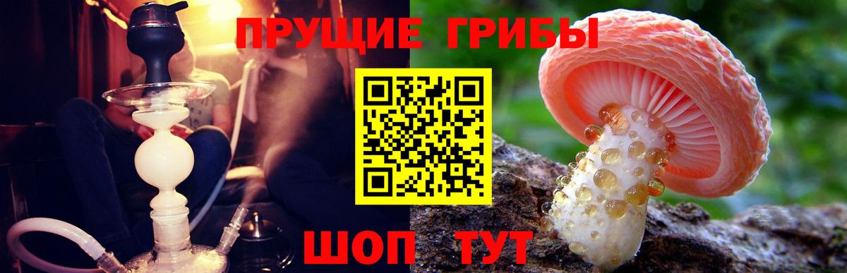 Галлюциногенные грибы мухоморы  Вход с VPN  Якутск 
