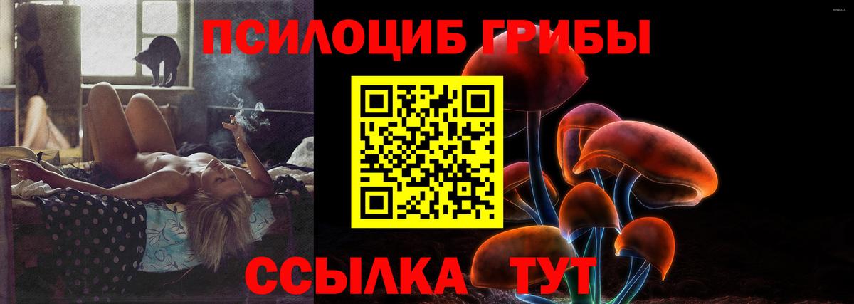 Псилоцибиновые грибы мицелий Якутск