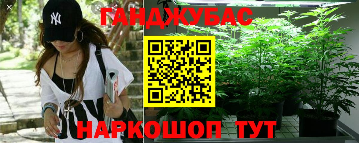 Якутск  Бошки марихуана Amnesia  Каннабис ГИДРОПОН  Бошки Шишки семена  Вход с VPN 